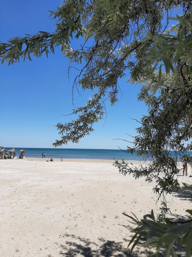 Eka Studio - Pool & Spa Beach Resort Năvodari 외부 사진